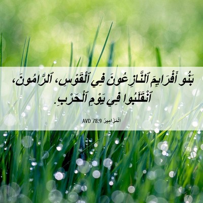 Picture 06 - اَلْمَزَامِيرُ 78:9 AVD - بَنُو أَفْرَايِمَ - Bible Verse Picture