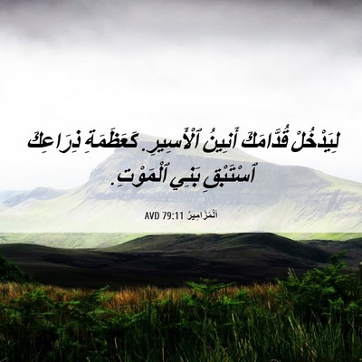 Picture 06 - اَلْمَزَامِيرُ 79:11 AVD - لِيَدْخُلْ قُدَّامَكَ - Bible Verse Picture