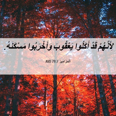 Picture 06 - اَلْمَزَامِيرُ 79:7 AVD - لِأَنَّهُمْ قَدْ أَكَلُوا - Bible Verse Picture
