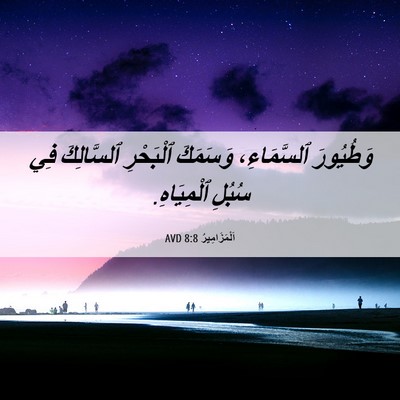Picture 06 - اَلْمَزَامِيرُ 8:8 AVD - وَطُيُورَ ٱلسَّمَاءِ، - Bible Verse Picture