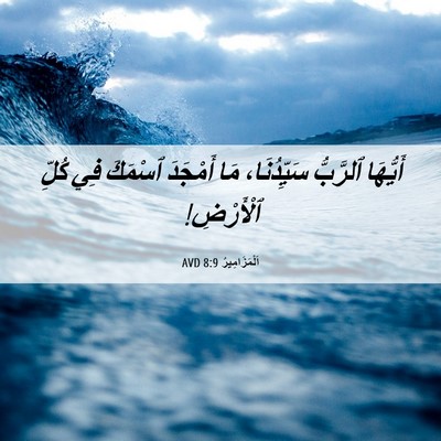 Picture 06 - اَلْمَزَامِيرُ 8:9 AVD - أَيُّهَا ٱلرَّبُّ - Bible Verse Picture