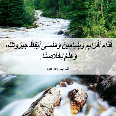 Picture 06 - اَلْمَزَامِيرُ 80:2 AVD - قُدَّامَ أَفْرَايِمَ - Bible Verse Picture