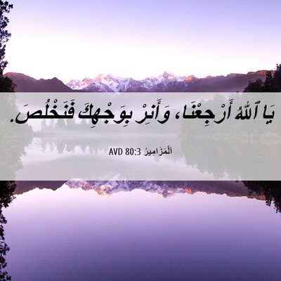 Picture 06 - اَلْمَزَامِيرُ 80:3 AVD - يَا ٱللهُ أَرْجِعْنَا، - Bible Verse Picture