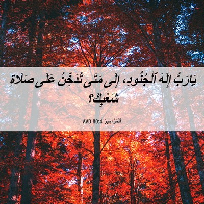 Picture 06 - اَلْمَزَامِيرُ 80:4 AVD - يَارَبُّ إِلَهَ - Bible Verse Picture