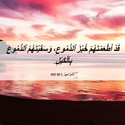 Picture 06 - اَلْمَزَامِيرُ 80:5 AVD - قَدْ أَطْعَمْتَهُمْ - Bible Verse Picture
