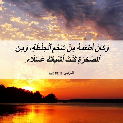 Picture 06 - اَلْمَزَامِيرُ 81:16 AVD - وَكَانَ أَطْعَمَهُ مِنْ - Bible Verse Picture