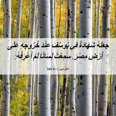Picture 06 - اَلْمَزَامِيرُ 81:5 AVD - جَعَلَهُ شَهَادَةً فِي - Bible Verse Picture
