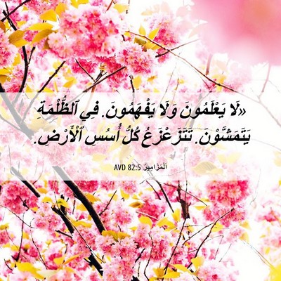Picture 06 - اَلْمَزَامِيرُ 82:5 AVD - «لَا يَعْلَمُونَ وَلَا - Bible Verse Picture