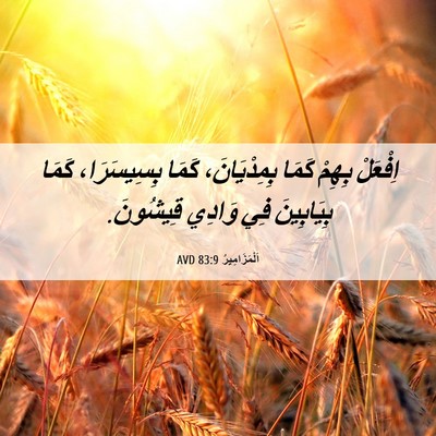Picture 06 - اَلْمَزَامِيرُ 83:9 AVD - اِفْعَلْ بِهِمْ كَمَا - Bible Verse Picture