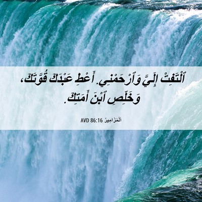 Picture 06 - اَلْمَزَامِيرُ 86:16 AVD - ٱلْتَفِتْ إِلَيَّ - Bible Verse Picture