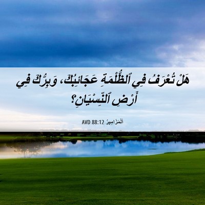 Picture 06 - اَلْمَزَامِيرُ 88:12 AVD - هَلْ تُعْرَفُ فِي - Bible Verse Picture
