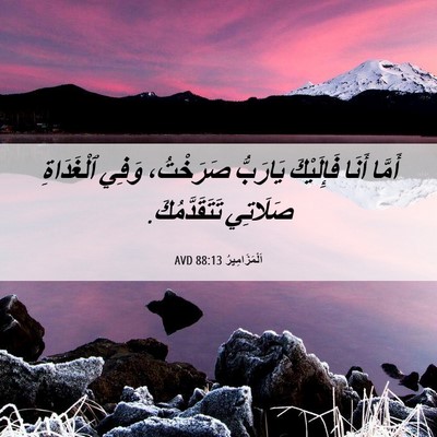 Picture 06 - اَلْمَزَامِيرُ 88:13 AVD - أَمَّا أَنَا فَإِلَيْكَ - Bible Verse Picture