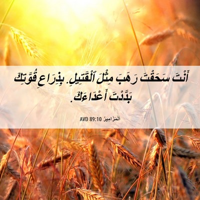 Picture 06 - اَلْمَزَامِيرُ 89:10 AVD - أَنْتَ سَحَقْتَ رَهَبَ - Bible Verse Picture