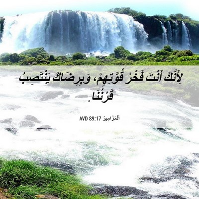 Picture 06 - اَلْمَزَامِيرُ 89:17 AVD - لِأَنَّكَ أَنْتَ فَخْرُ - Bible Verse Picture