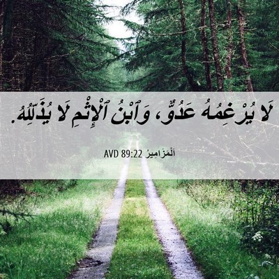 Picture 06 - اَلْمَزَامِيرُ 89:22 AVD - لَا يُرْغِمُهُ عَدُوٌّ، - Bible Verse Picture