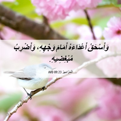Picture 06 - اَلْمَزَامِيرُ 89:23 AVD - وَأَسْحَقُ أَعْدَاءَهُ - Bible Verse Picture