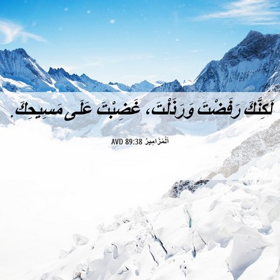 Picture 06 - اَلْمَزَامِيرُ 89:38 AVD - لَكِنَّكَ رَفَضْتَ - Bible Verse Picture