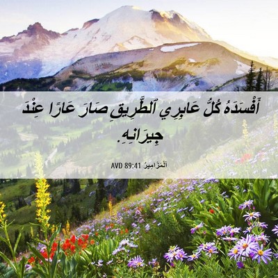 Picture 06 - اَلْمَزَامِيرُ 89:41 AVD - أَفْسَدَهُ كُلُّ عَابِرِي - Bible Verse Picture