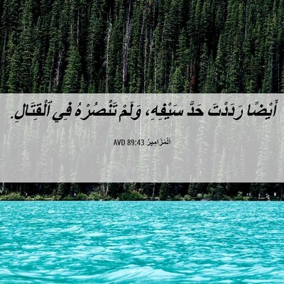 Picture 06 - اَلْمَزَامِيرُ 89:43 AVD - أَيْضًا رَدَدْتَ حَدَّ - Bible Verse Picture