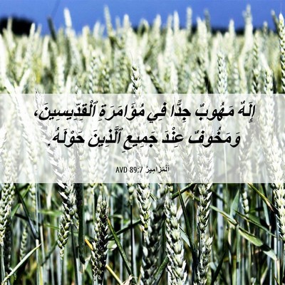 Picture 06 - اَلْمَزَامِيرُ 89:7 AVD - إِلَهٌ مَهُوبٌ جِدًّا فِي - Bible Verse Picture