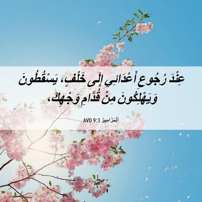 Picture 06 - اَلْمَزَامِيرُ 9:3 AVD - عِنْدَ رُجُوعِ أَعْدَائِي - Bible Verse Picture