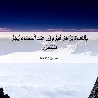 Picture 06 - اَلْمَزَامِيرُ 90:6 AVD - بِٱلْغَدَاةِ يُزْهِرُ - Bible Verse Picture