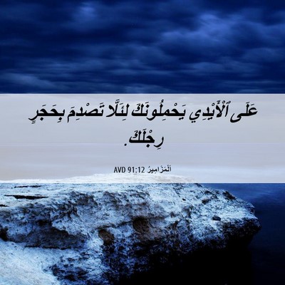 Picture 06 - اَلْمَزَامِيرُ 91:12 AVD - عَلَى ٱلْأَيْدِي - Bible Verse Picture