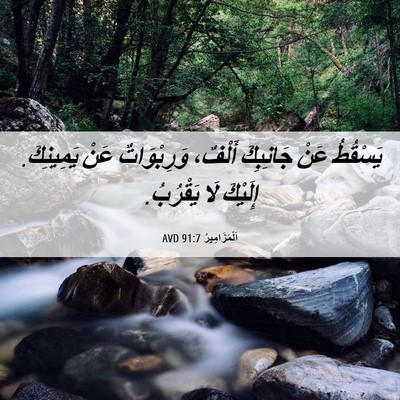Picture 06 - اَلْمَزَامِيرُ 91:7 AVD - يَسْقُطُ عَنْ جَانِبِكَ - Bible Verse Picture