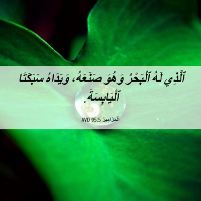 Picture 06 - اَلْمَزَامِيرُ 95:5 AVD - ٱلَّذِي لَهُ ٱلْبَحْرُ - Bible Verse Picture