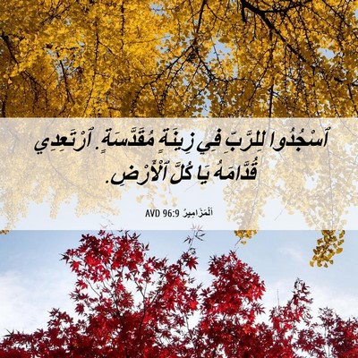 Picture 06 - اَلْمَزَامِيرُ 96:9 AVD - ٱسْجُدُوا لِلرَّبِّ فِي - Bible Verse Picture