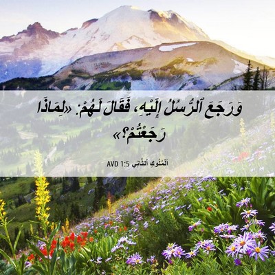 Picture 06 - اَلْمُلُوكِ ٱلثَّانِي 1:5 AVD - وَرَجَعَ ٱلرُّسُلُ - Bible Verse Picture