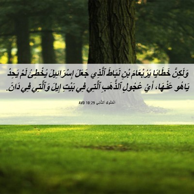 Picture 06 - اَلْمُلُوكِ ٱلثَّانِي 10:29 AVD - وَلَكِنَّ خَطَايَا - Bible Verse Picture