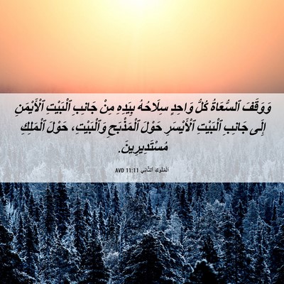 Picture 06 - اَلْمُلُوكِ ٱلثَّانِي 11:11 AVD - وَوَقَفَ ٱلسُّعَاةُ كُلُّ - Bible Verse Picture