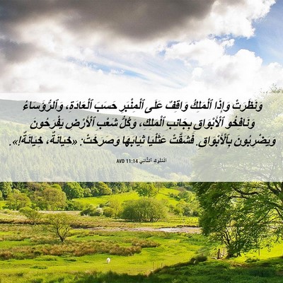 Picture 06 - اَلْمُلُوكِ ٱلثَّانِي 11:14 AVD - وَنَظَرَتْ وَإِذَا - Bible Verse Picture