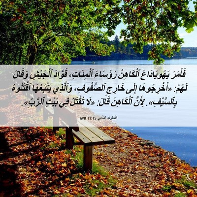 Picture 06 - اَلْمُلُوكِ ٱلثَّانِي 11:15 AVD - فَأَمَرَ يَهُويَادَاعُ - Bible Verse Picture
