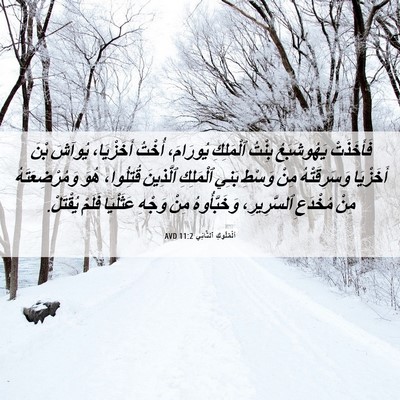 Picture 06 - اَلْمُلُوكِ ٱلثَّانِي 11:2 AVD - فَأَخَذَتْ يَهُوشَبَعُ - Bible Verse Picture
