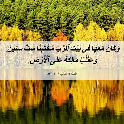 Picture 06 - اَلْمُلُوكِ ٱلثَّانِي 11:3 AVD - وَكَانَ مَعَهَا فِي بَيْتِ - Bible Verse Picture