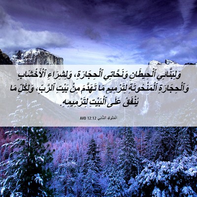 Picture 06 - اَلْمُلُوكِ ٱلثَّانِي 12:12 AVD - وَلِبَنَّائِي ٱلْحِيطَانِ - Bible Verse Picture