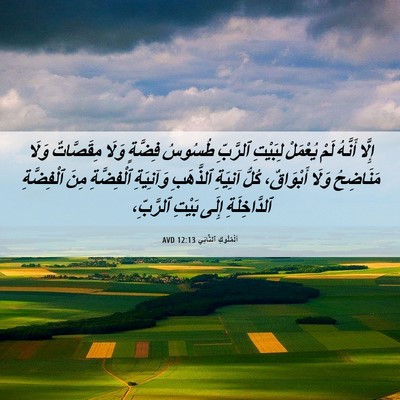 Picture 06 - اَلْمُلُوكِ ٱلثَّانِي 12:13 AVD - إِلَّا أَنَّهُ لَمْ - Bible Verse Picture