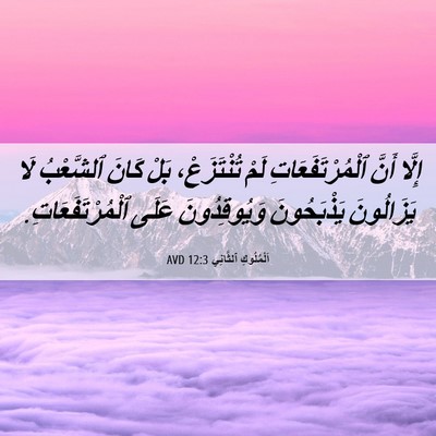 Picture 06 - اَلْمُلُوكِ ٱلثَّانِي 12:3 AVD - إِلَّا أَنَّ - Bible Verse Picture
