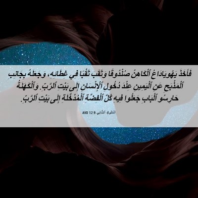 Picture 06 - اَلْمُلُوكِ ٱلثَّانِي 12:9 AVD - فَأَخَذَ يَهُويَادَاعُ - Bible Verse Picture