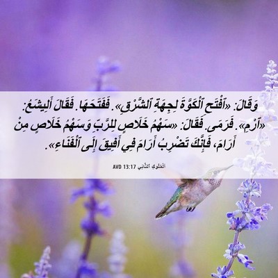 Picture 06 - اَلْمُلُوكِ ٱلثَّانِي 13:17 AVD - وَقَالَ: «ٱفْتَحِ - Bible Verse Picture