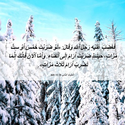 Picture 06 - اَلْمُلُوكِ ٱلثَّانِي 13:19 AVD - فَغَضِبَ عَلَيْهِ رَجُلُ - Bible Verse Picture