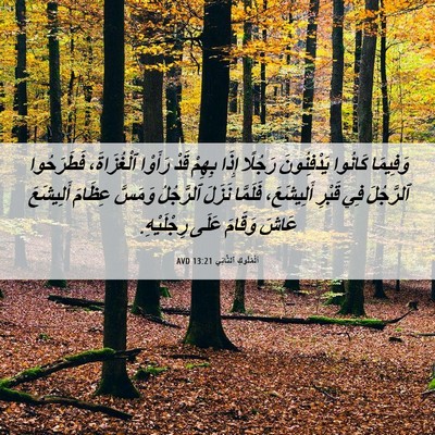 Picture 06 - اَلْمُلُوكِ ٱلثَّانِي 13:21 AVD - وَفِيمَا كَانُوا - Bible Verse Picture