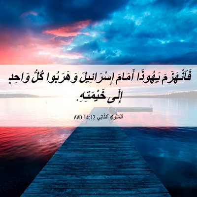 Picture 06 - اَلْمُلُوكِ ٱلثَّانِي 14:12 AVD - فَٱنْهَزَمَ يَهُوذَا - Bible Verse Picture