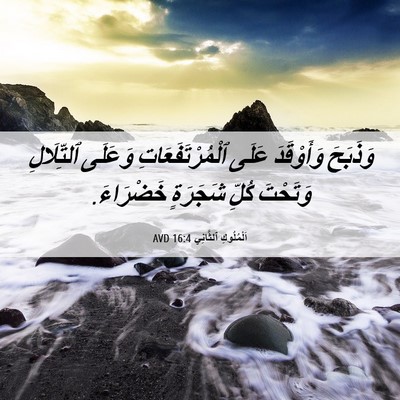 Picture 06 - اَلْمُلُوكِ ٱلثَّانِي 16:4 AVD - وَذَبَحَ وَأَوْقَدَ عَلَى - Bible Verse Picture
