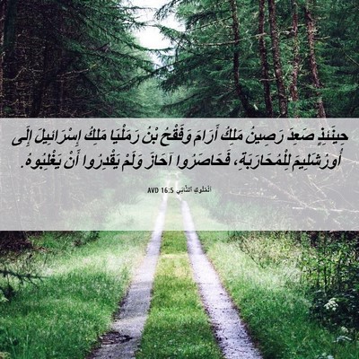 Picture 06 - اَلْمُلُوكِ ٱلثَّانِي 16:5 AVD - حِينَئِذٍ صَعِدَ رَصِينُ - Bible Verse Picture