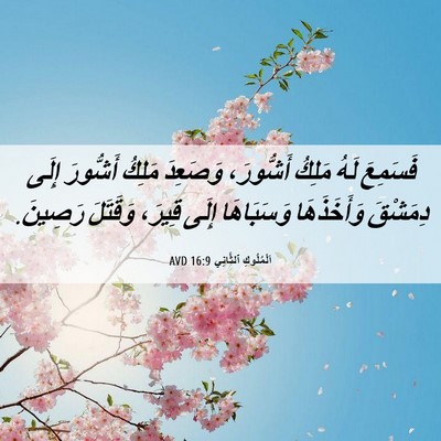 Picture 06 - اَلْمُلُوكِ ٱلثَّانِي 16:9 AVD - فَسَمِعَ لَهُ مَلِكُ - Bible Verse Picture