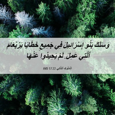Picture 06 - اَلْمُلُوكِ ٱلثَّانِي 17:22 AVD - وَسَلَكَ بَنُو - Bible Verse Picture