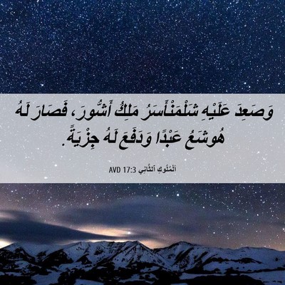Picture 06 - اَلْمُلُوكِ ٱلثَّانِي 17:3 AVD - وَصَعِدَ عَلَيْهِ - Bible Verse Picture